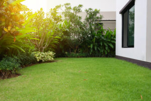 aménagement de la pelouse avec gazon vert dans le jardin maison
